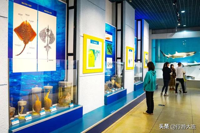 周末去哪儿？大连这八个馆里补给灵感~