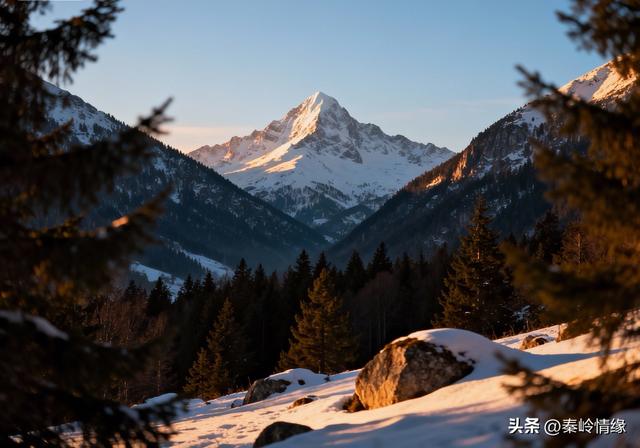 两性关系，夫妻越是喜欢分房睡，越是说明这三点。一定要重视！