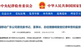 中国移动广东公司原董事长魏明接受审查调查图片