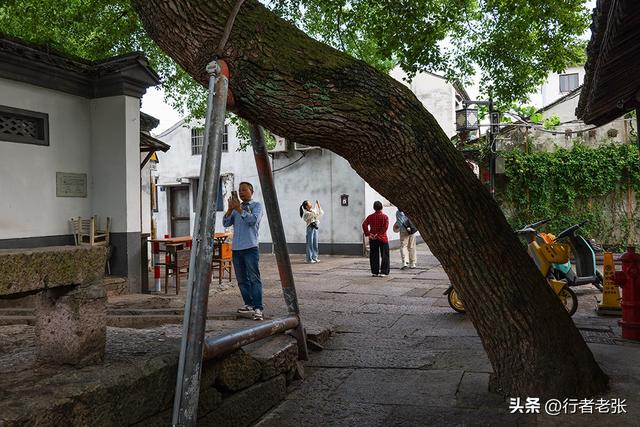 绍兴最大的单孔石拱桥，距今一千年，比八字桥还要早的古代立交桥