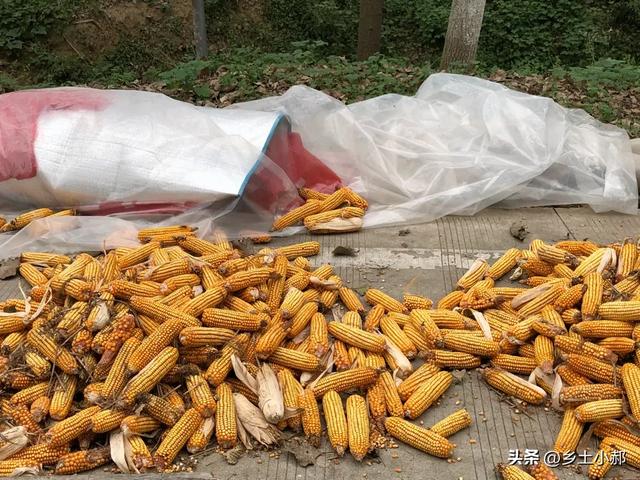 “不怕十八雨，就怕十九阴”，今日八月十九，十九阴为啥不好
