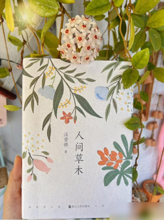 阴花不能进阳宅！这5种花“打死”也不养，家里若有？快挪走！