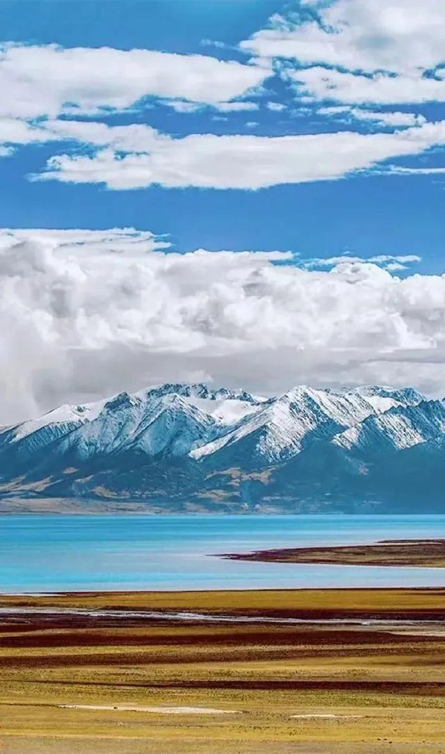 极地那曲不仅美在雪山湖泊，更美在每一棵生机盎然的树