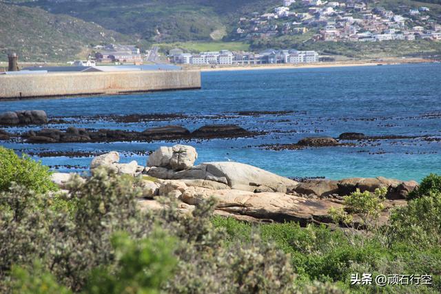 南部非洲：南非开普敦企鹅岛