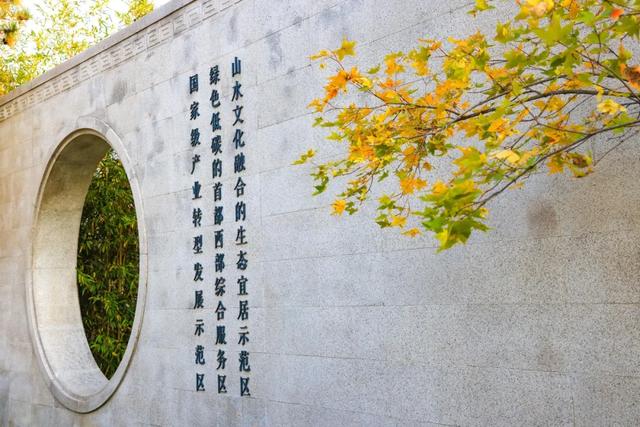 从从容容游刃有余！把江南的秋天“搬进”石景山——