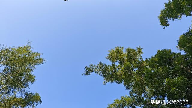 周末遛娃:增城正果亲水之旅