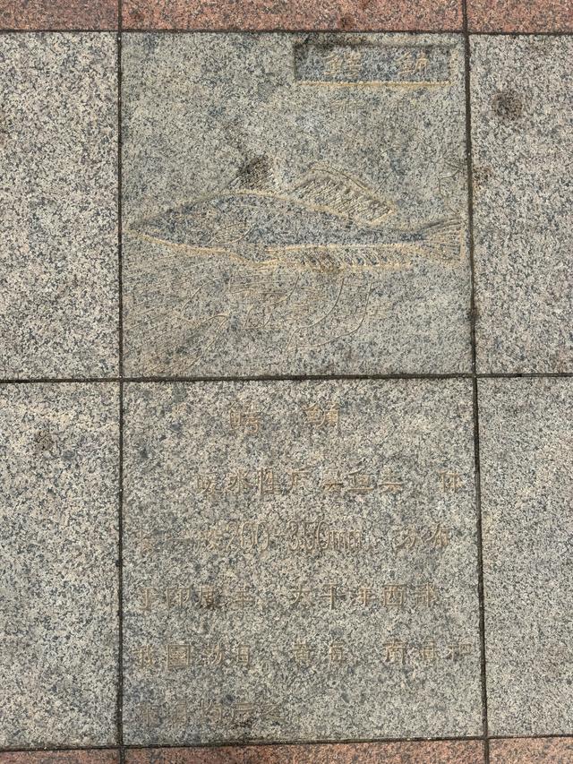 栈道的尽头是实验室