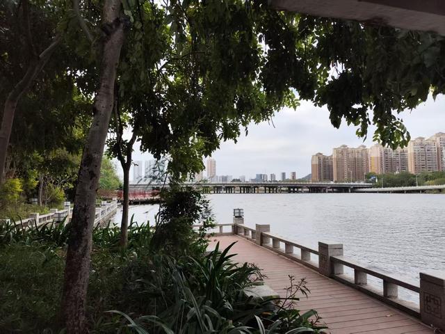 岭南日记（四）