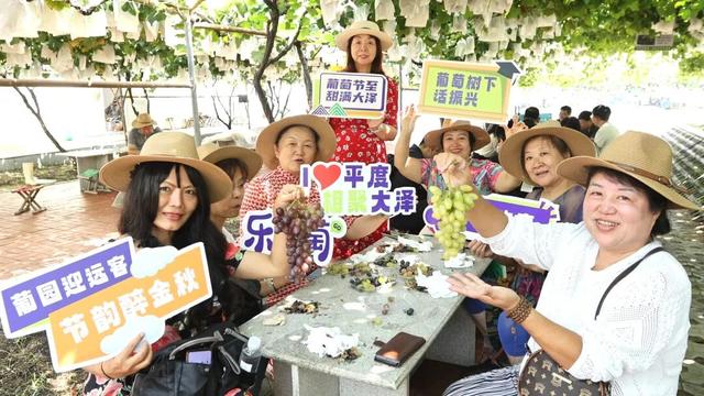 葡萄树下话振兴 | 岛城旅行社走进平度，探寻文旅发展密码！