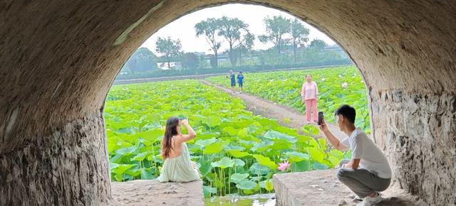【文明旅游】太原：难老泉润稻荷香