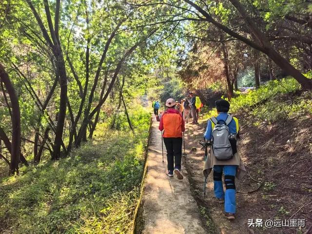 阳光明媚的冬日里，我们爬山去，逛陡坡村、看冬樱花，做晴朗的事