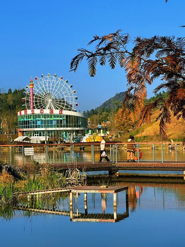 【初冬打卡指南】都匀绿博园“限定红杉雾镜”上线！