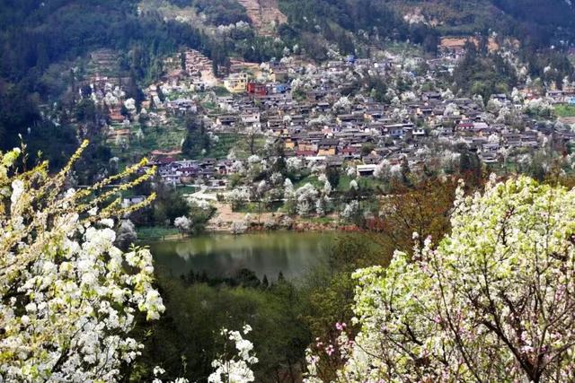 州庆放松记，元阳欢乐享不停！