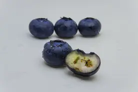 我来回答几个关于云南蓝莓是否用药，是否可以放心吃的问题。图片