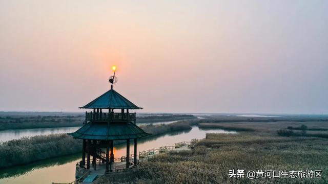 【黄河口生态旅游区】“12.4”国家宪法日——当黄河潮涌遇见法治之光
