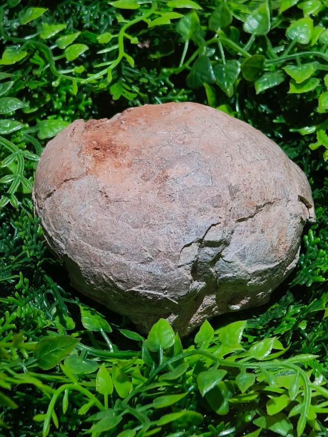 世界上只有中国湖北省十堰市才有的“全球独一无二的5大奇景”！