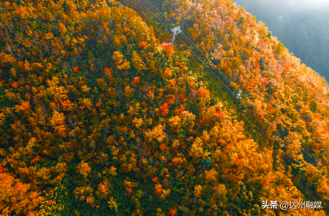 错过等一年！巴山大峡谷秋色刚开场，彩林已美成仙境！