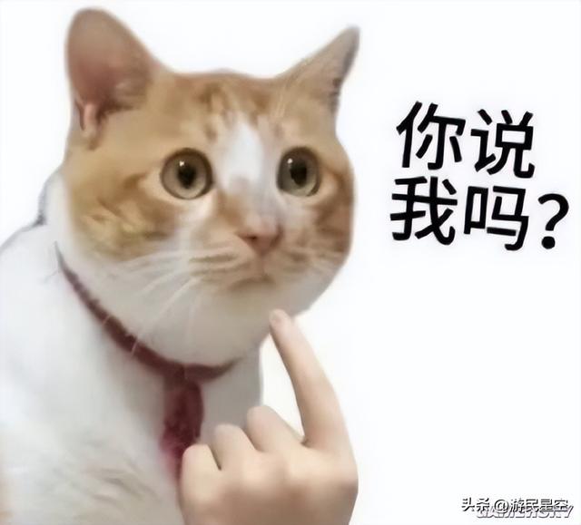 这年头，做战棋+三国是有多想不开啊？