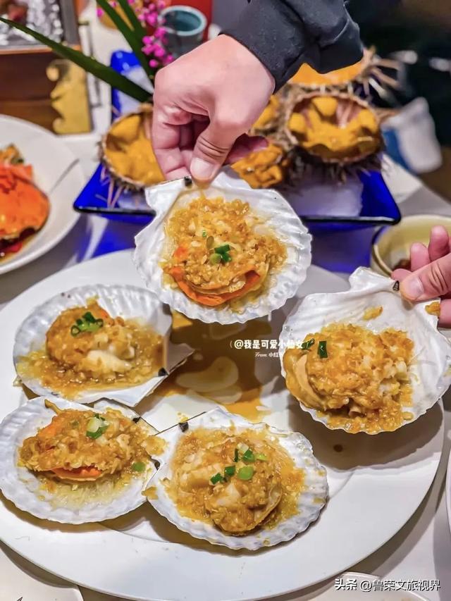 大连秋日鎏金时：荧光海低语，老电车叮咚，海鲜盆里盛着山海情