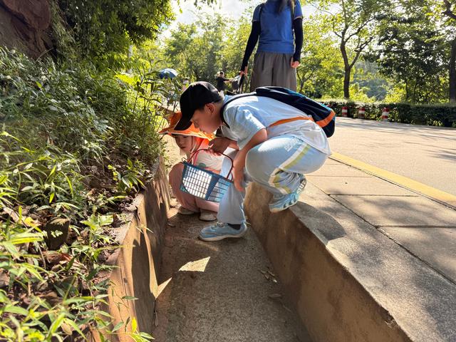 跟蘑菇博士遛娃，解锁森林“蘑”法！