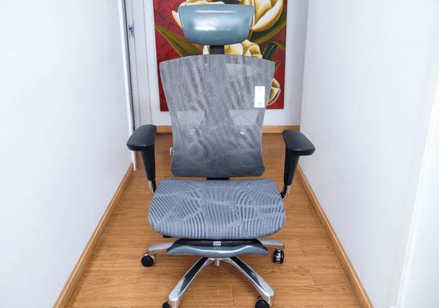 人体工学椅哪个品牌最好？护腰最强十大品牌人体工学椅性价比榜