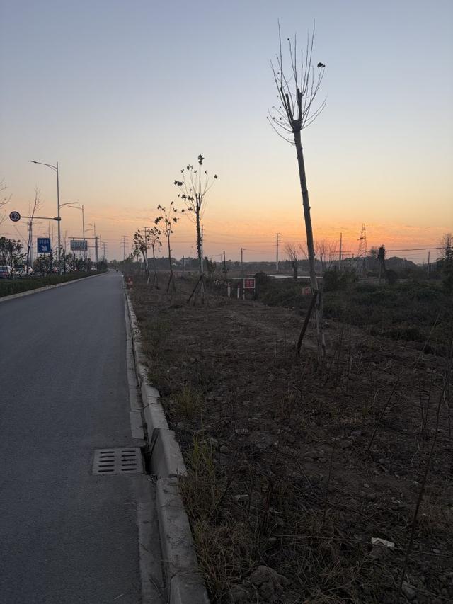 上课、兼职、健身……20岁小伙上海徒步到杭州，他说生活被填满，“我需要做的只有往前走”