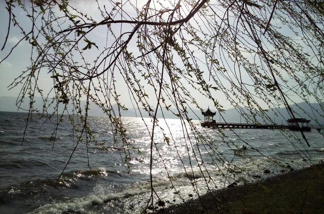 带着孙女去旅行（172）两游云南抚仙湖