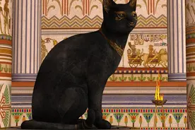 你知道猫猫在佛教的传说吗？图片