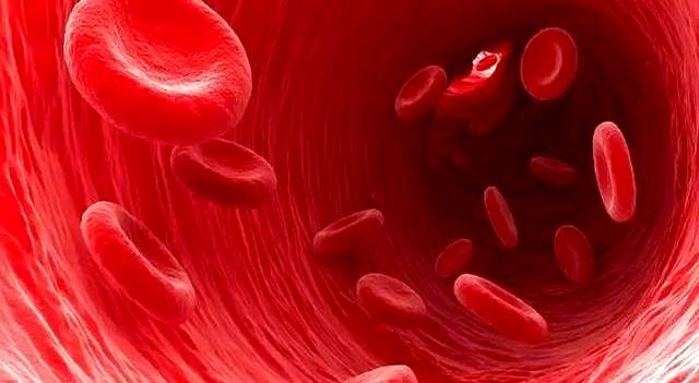 瘦了30斤才知道：晚上保持饥饿感，掉秤会很快！