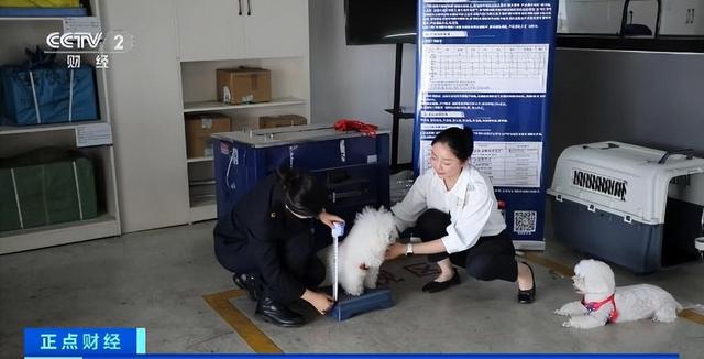 自行车、宠物皆可托运！云南环线旅游列车解锁“轻装出行”新体验