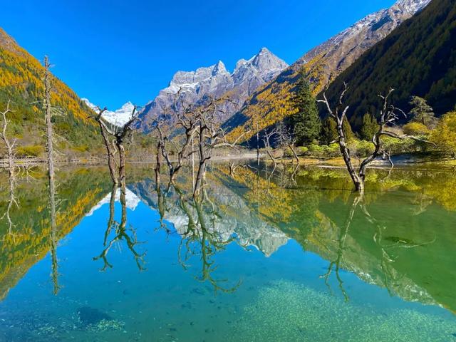 怦然心动！是四姑娘山的秋啊！