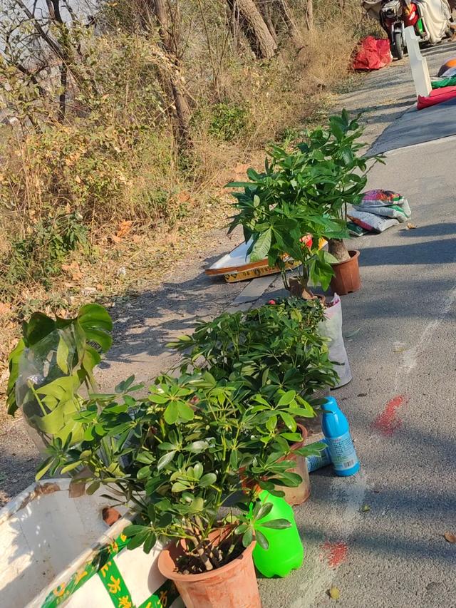 记录德州：岔河河堤上的大集，人山人海，异常热闹