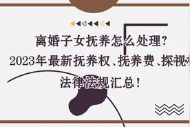 离婚子女抚养？2023年最新抚养权、抚养费、探视权法律法规汇总！图片