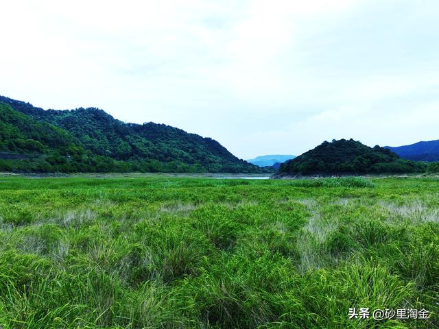 亭下湖