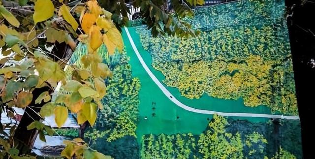 宣恩街头墙绘惊艳全网，冬日滑雪温泉，游客直呼太浪漫