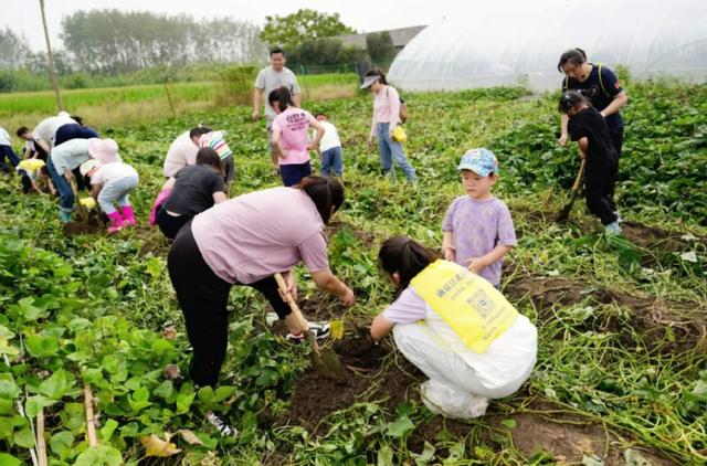 126万人次！双节假期嗨玩江北