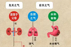 人体内有四种气，气功的“气”指的是呼吸之气吗？图片