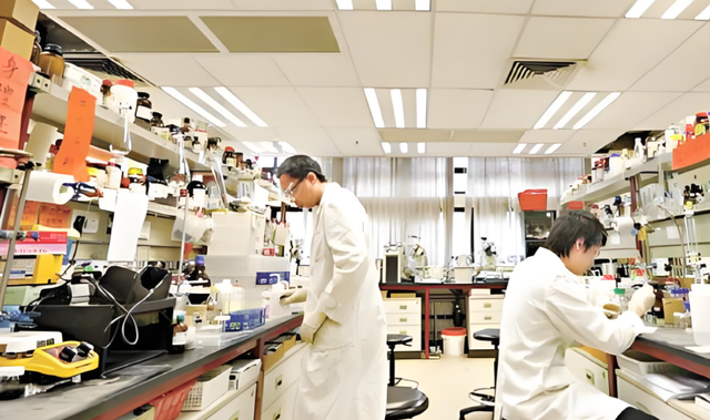 蓄意报复？巴西大豆疯涨80%，被中方下达逐客令，巴急查中国无纺布