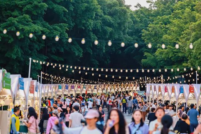 2025国际红树林之夜启幕，邀您共赴生态盛宴！