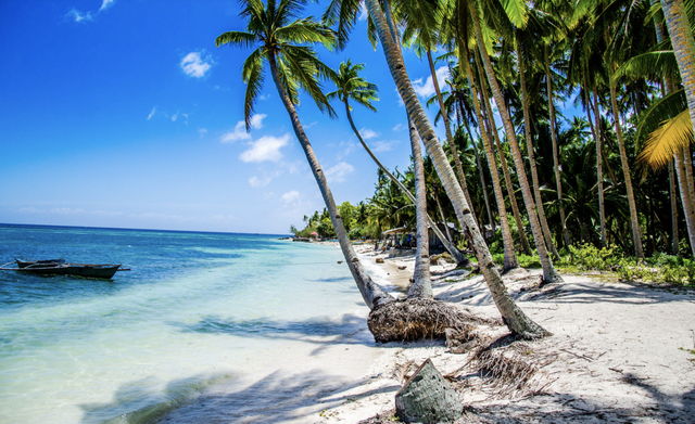 正式官宣！菲律宾对华免签！最全攻略看这里