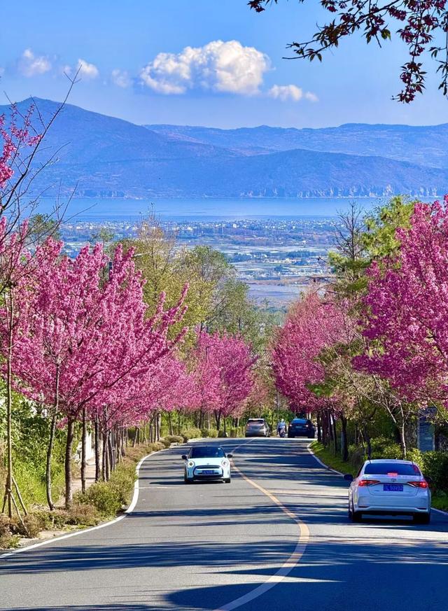 大理 ⇌太原 当凉鸡米线遇见打卤面