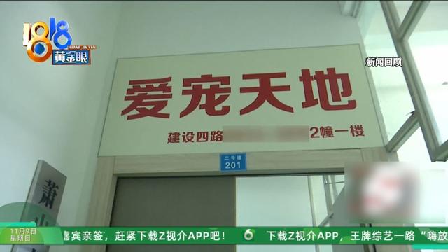 怎么又是这？她还拿出视频，里面“一动不动”，停了几只苍蝇....