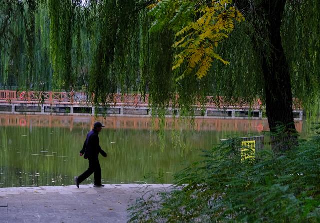 “外包儿女”的生意经：孝顺成为商品，亲情何去何从？