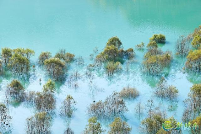 两江交汇碧波现