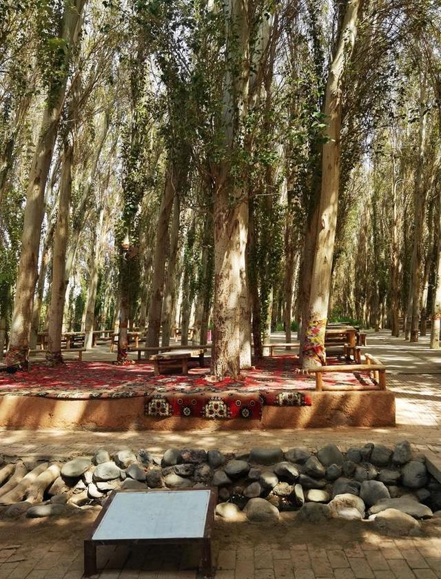 游新疆吐鲁番的坎儿井和葡萄沟