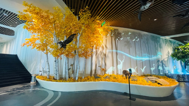 酷玩额尔古纳：解锁冰雪世界的N种超酷玩法