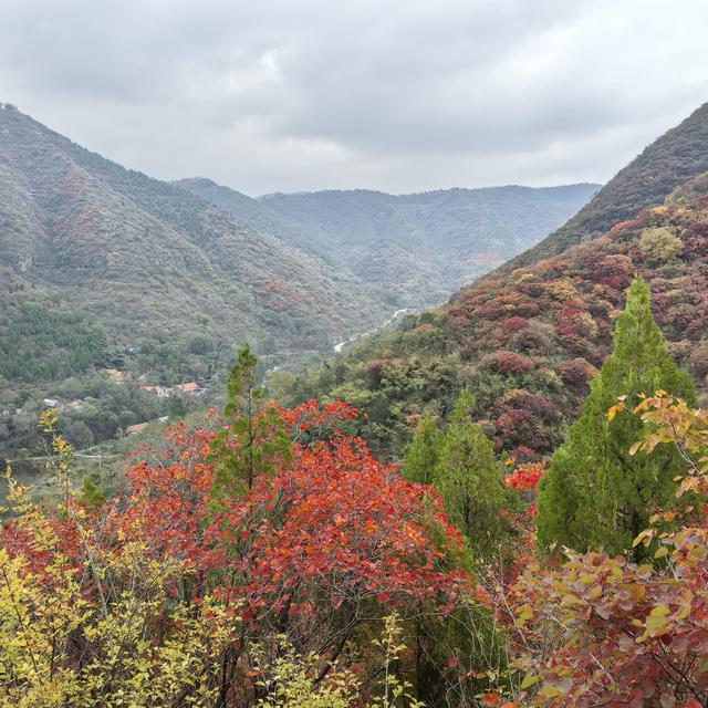 爬山有感，学会选择懂得放弃