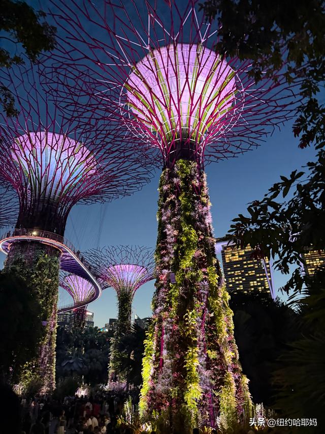 2025暑假 新加坡顺道游（二）