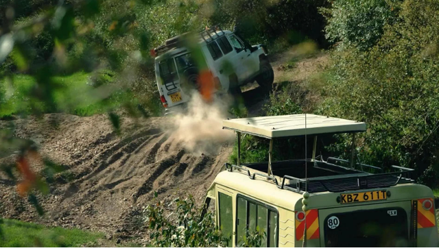 中产家庭减压新方式！花5万远赴非洲追狮，在荒野中寻求生活激情