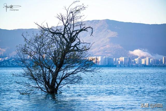 洱海的湿地公园很多，这几座孤岛风景不错，只是唯一的浮桥太晃荡